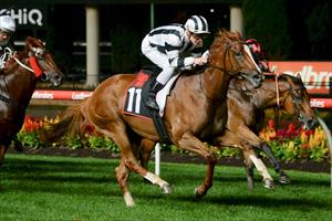 Foxy Lady - Moonee Valley Feb 2020